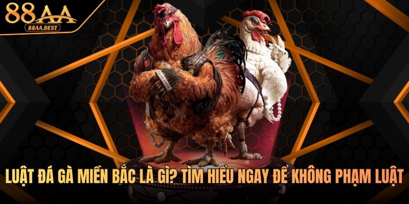 luật đá gà miền bắc tại 88aa